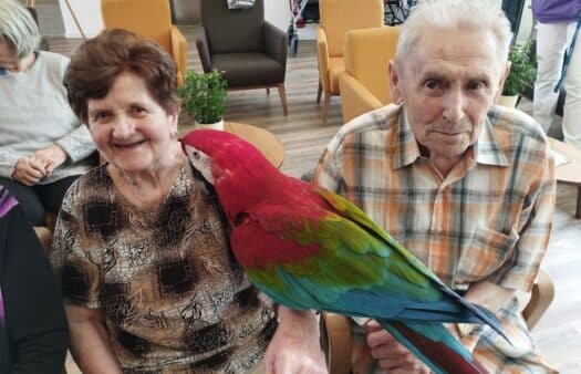 Návštěva papoušků v našem SeniorCentru Telč